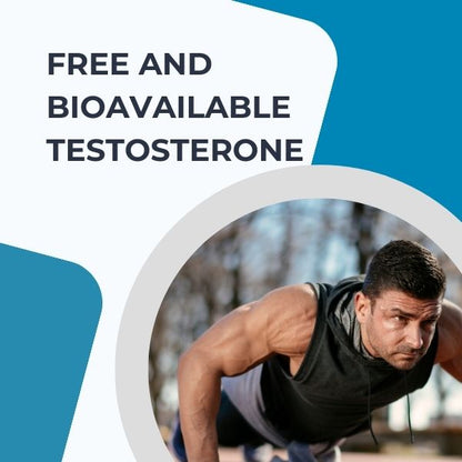 Free and Bioavailable Testosterone