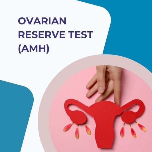 Ovarian Reserve Test (AMH)